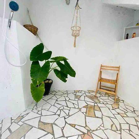 Appartement Habitation Nala Proche Bourg à Terre-De-Haut Extérieur photo