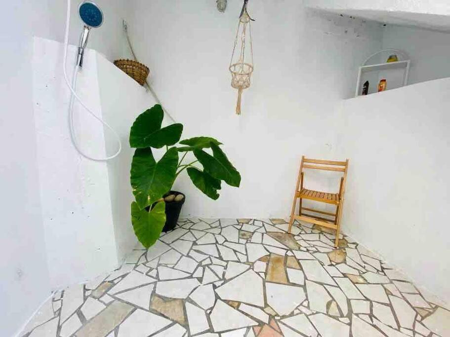 Appartement Habitation Nala Proche Bourg à Terre-De-Haut Extérieur photo